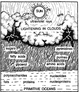 1924_biochemical origin of life.png